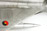 MiG-21 Fishbed Silver - 1:48