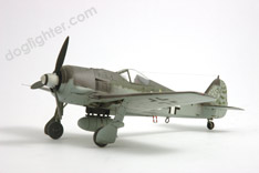 Fw 190 F-8 Plastic Model 