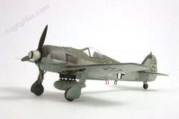 Fw 190 F-8 High quality