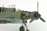 Dornier Do 335A Pfeil 1:48