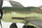 Fw 190 D-9 Dora 1:48