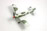 Focke Wulf Fw 190 A-3  1:48