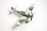 Focke Wulf Fw 190 A-3  1:48