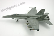 Gray Camouflage F/A-18C