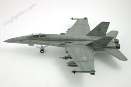 Gray Camouflage F/A-18C