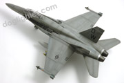Gray Camouflage F/A-18C