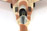 Tamiya F-18A Hornet Aggressor 1:72