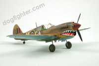 Warhawk P-40M