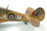 P-40M Warhawk 1:48