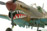 P-40M Warhawk 1:48