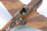 P-40M Warhawk 1:48