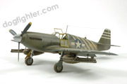 P-51A Mustang Accurate Miniature