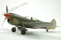 P-40N Warhawk Eduard 