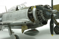 Hasegawa  P-47 Thunderbolt