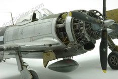  P-47 Thunderbolt Hasegawa