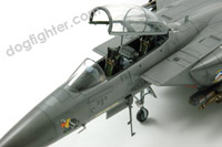 McDonnell Douglas F-15E Strike Eagle