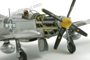 P-51 D Mustang