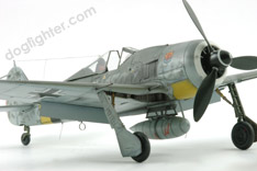 Hasegawa Focke Wulf Fw 190 A-8  