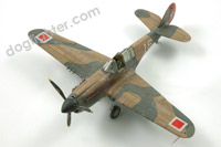 P-40 Warhawk Hasegawa Detail set Eduard