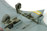 luftwaffe secret technology Horten 229A-1 Dragon 1:48