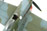 Typhoon airplane Hawker Typhoon MDC 1:32