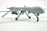 MQ-1 Predator Drone 1:48