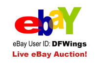 dfwing ebay actions
