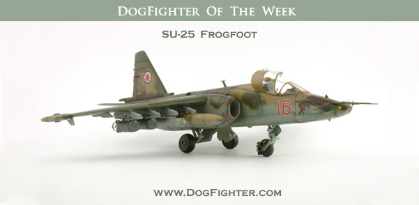 Su-25 Frogfoot