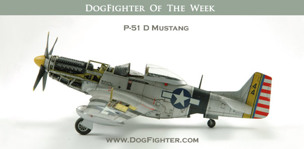 P-51 D Mustang