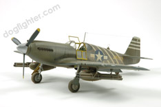 Accurate Miniature P-51A Mustang